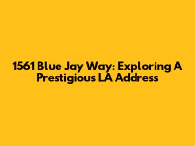 1561 Blue Jay Way: Exploring A Prestigious LA Address
