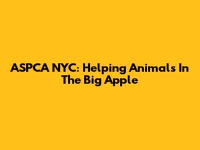 ASPCA NYC: Helping Animals In The Big Apple
