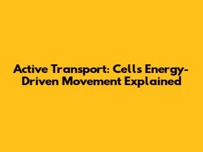 Active Transport: Cell's Energy-Driven Movement Explained
