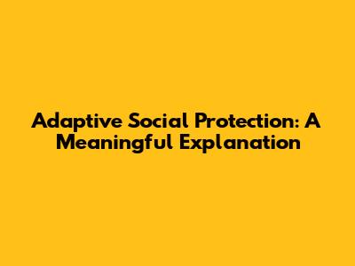 Adaptive Social Protection: A Meaningful Explanation
