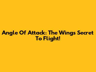 Angle Of Attack: The Wing's Secret To Flight!