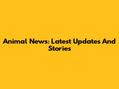 Animal News: Latest Updates And Stories