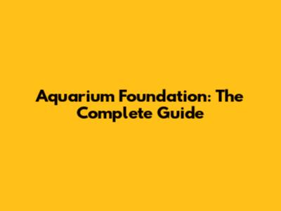 Aquarium Foundation: The Complete Guide