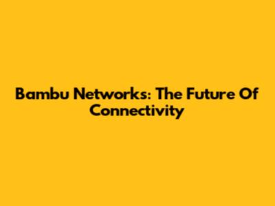 Bambu Networks: The Future Of Connectivity