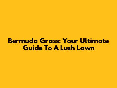 Bermuda Grass: Your Ultimate Guide To A Lush Lawn