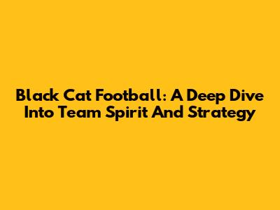 Black Cat Football: A Deep Dive Into Team Spirit And Strategy