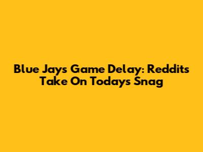 Blue Jays Game Delay: Reddit's Take On Today's Snag