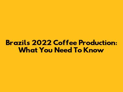 Brazil's 2022 Coffee Production: What You Need To Know