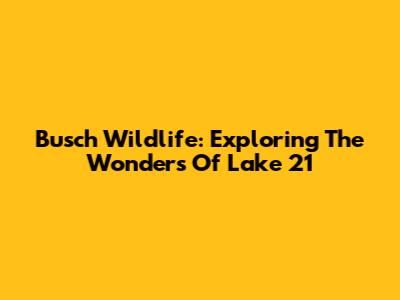 Busch Wildlife: Exploring The Wonders Of Lake 21