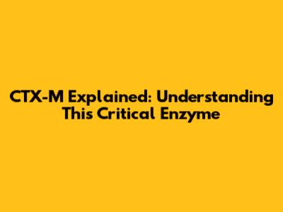 CTX-M Explained: Understanding This Critical Enzyme