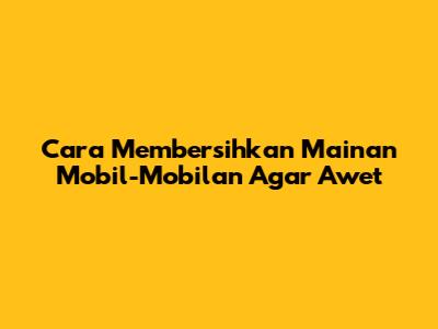 Cara Membersihkan Mainan Mobil-Mobilan Agar Awet
