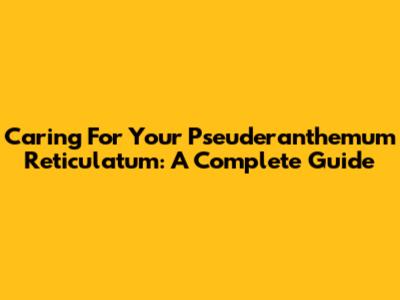 Caring For Your Pseuderanthemum Reticulatum: A Complete Guide