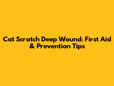 Cat Scratch Deep Wound: First Aid & Prevention Tips