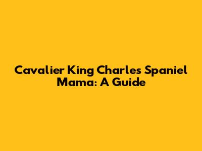 Cavalier King Charles Spaniel Mama: A Guide