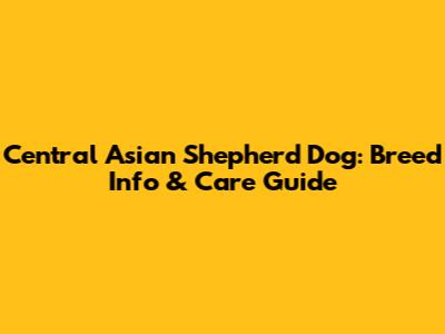 Central Asian Shepherd Dog: Breed Info & Care Guide