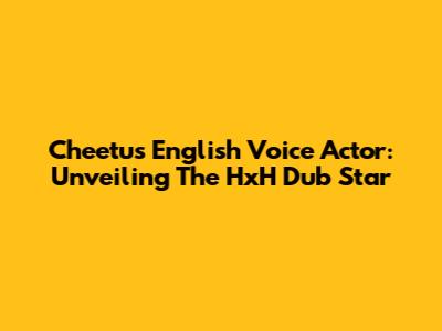 Cheetu's English Voice Actor: Unveiling The HxH Dub Star