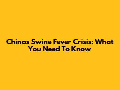 China's Swine Fever Crisis: What You Need To Know