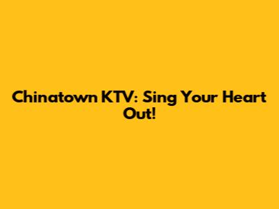 Chinatown KTV: Sing Your Heart Out!