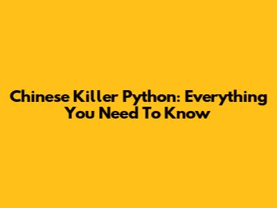 Chinese Killer Python: Everything You Need To Know