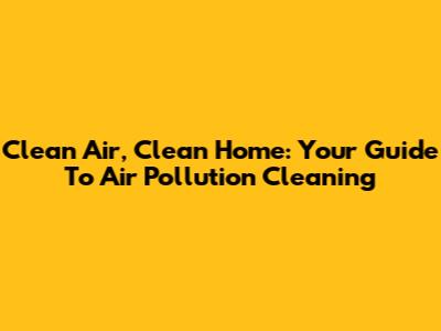 Clean Air, Clean Home: Your Guide To Air Pollution Cleaning