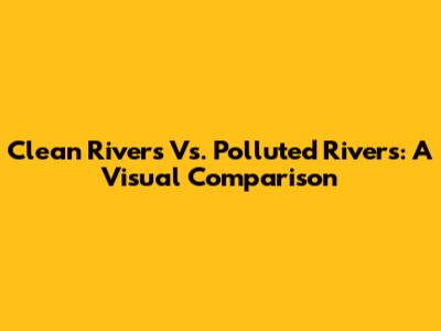Clean Rivers Vs. Polluted Rivers: A Visual Comparison