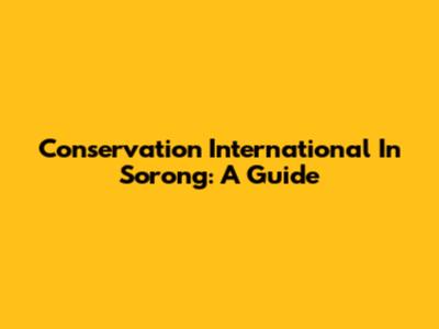 Conservation International In Sorong: A Guide