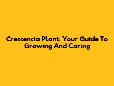 Crescencia Plant: Your Guide To Growing And Caring