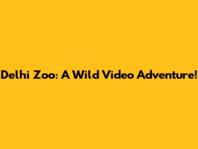 Delhi Zoo: A Wild Video Adventure!