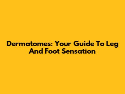 Dermatomes: Your Guide To Leg And Foot Sensation