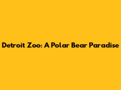 Detroit Zoo: A Polar Bear Paradise