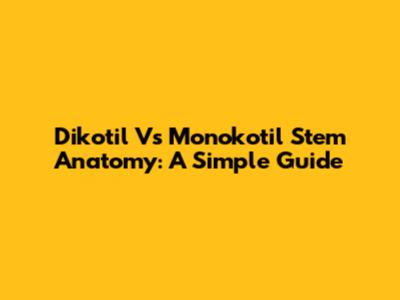 Dikotil Vs Monokotil Stem Anatomy: A Simple Guide
