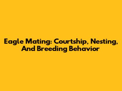 Eagle Mating: Courtship, Nesting, And Breeding Behavior
