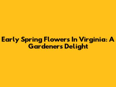 Early Spring Flowers In Virginia: A Gardener's Delight