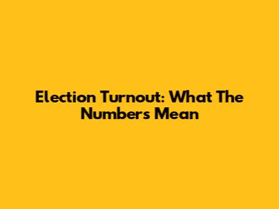 Election Turnout: What The Numbers Mean