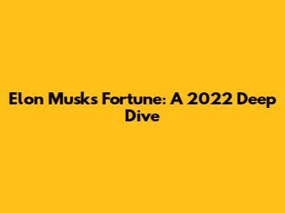 Elon Musk's Fortune: A 2022 Deep Dive