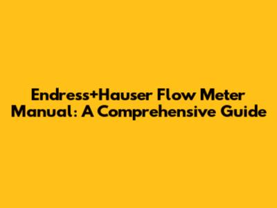 Endress+Hauser Flow Meter Manual: A Comprehensive Guide
