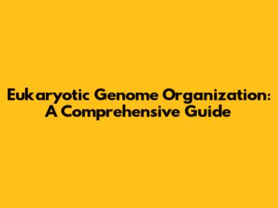 Eukaryotic Genome Organization: A Comprehensive Guide