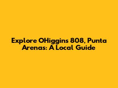 Explore O'Higgins 808, Punta Arenas: A Local Guide