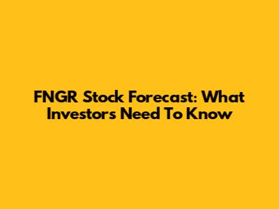 FNGR Stock Forecast: What Investors Need To Know