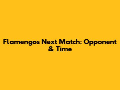 Flamengo's Next Match: Opponent & Time