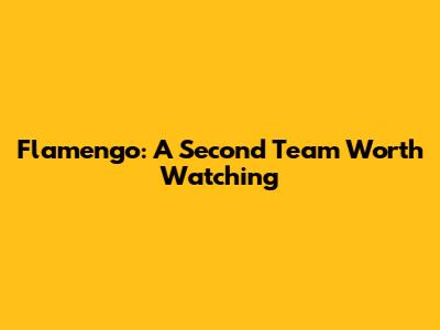 Flamengo: A Second Team Worth Watching