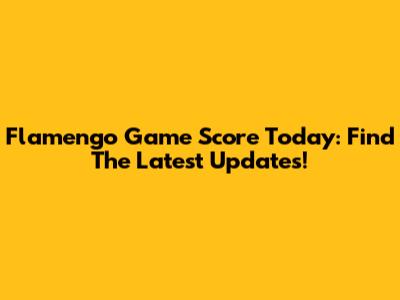 Flamengo Game Score Today: Find The Latest Updates!