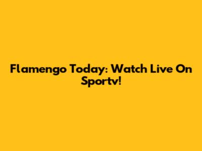 Flamengo Today: Watch Live On Sportv!