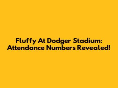 Fluffy At Dodger Stadium: Attendance Numbers Revealed!