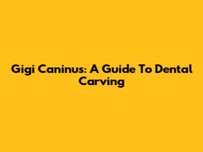 Gigi Caninus: A Guide To Dental Carving