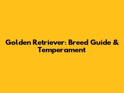 Golden Retriever: Breed Guide & Temperament