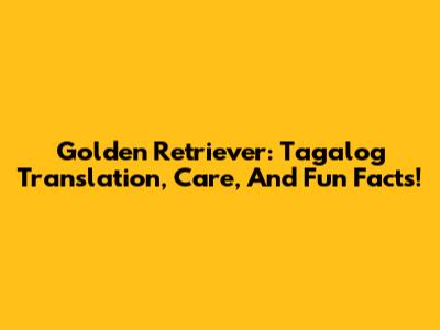 Golden Retriever: Tagalog Translation, Care, And Fun Facts!
