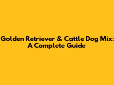 Golden Retriever & Cattle Dog Mix: A Complete Guide