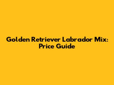 Golden Retriever Labrador Mix: Price Guide