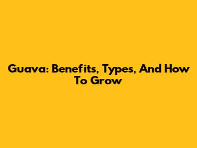 Guava: Benefits, Types, And How To Grow